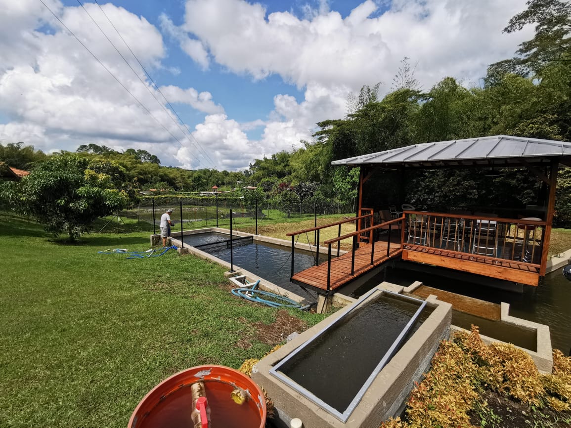 305071820221103045814 VENDO HERMOSA FINCA DE 10.000 M2 a 5 MIN DEL CRUCERO DE COMBIA