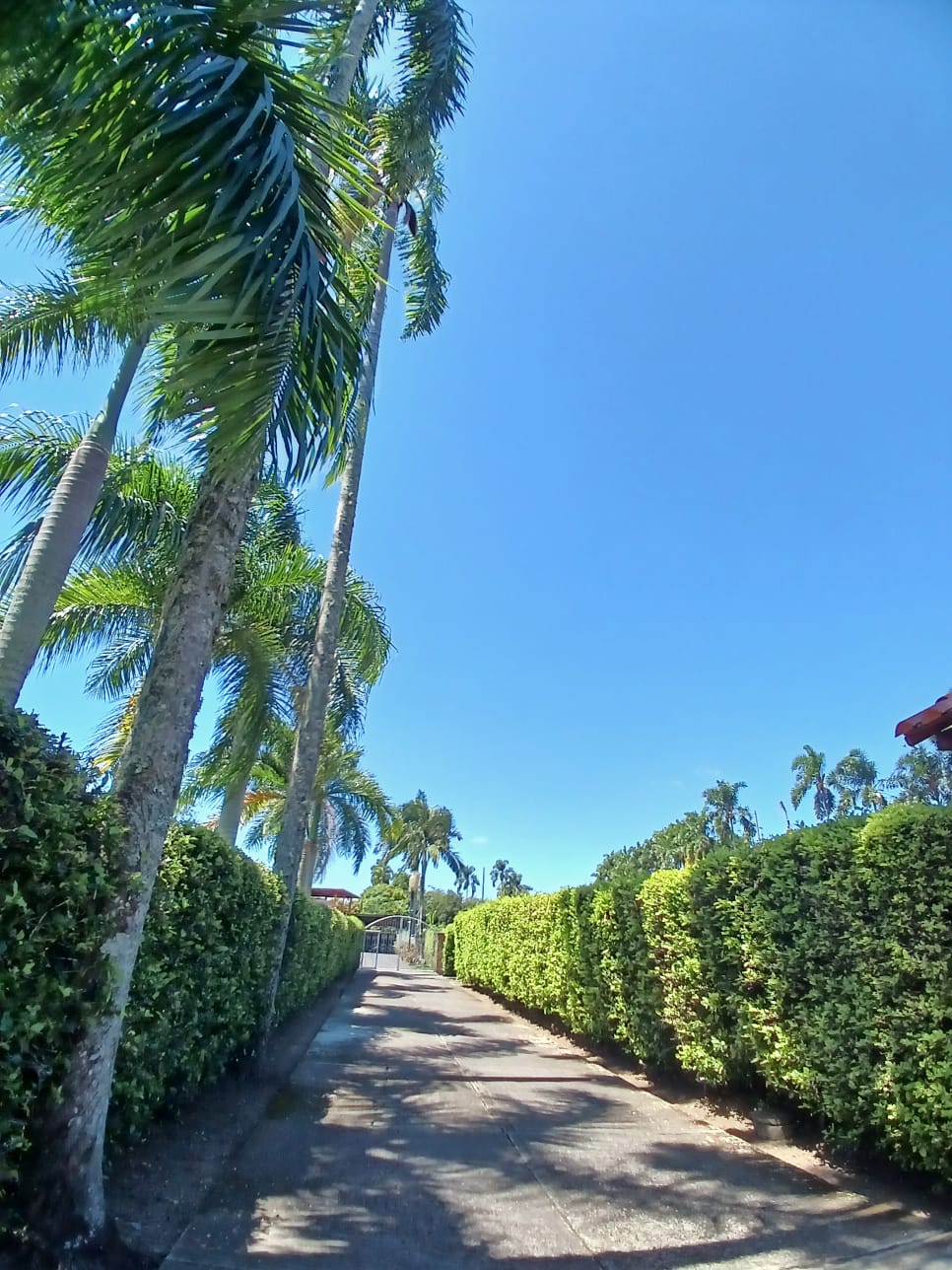 VENDO CASA CAMPESTRE VIA CERRITOS LA VIRGINIA