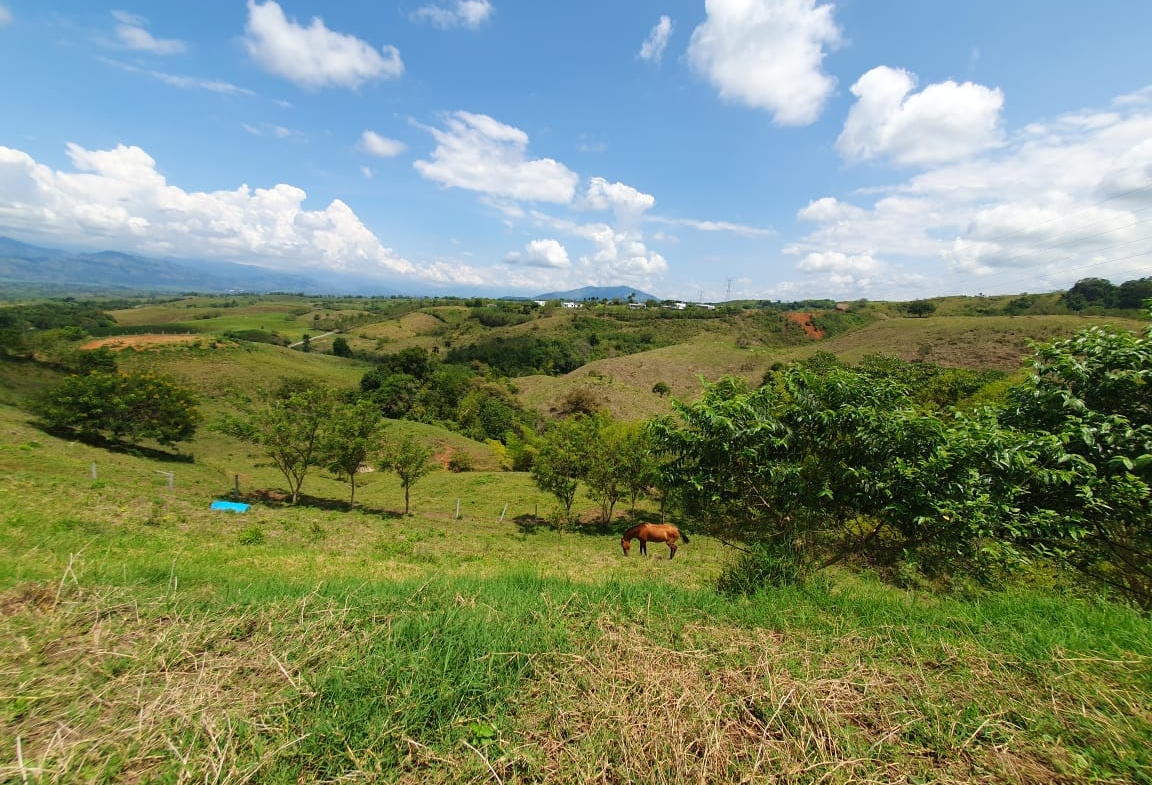 EN VENTA LOTE CERRITOS PEREIRA 13.000 M2