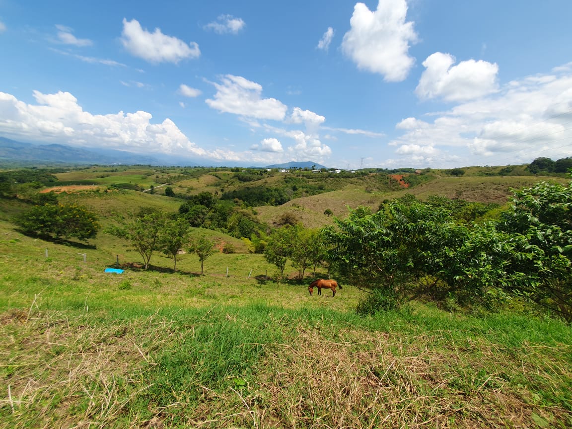 EN VENTA LOTE CERRITOS PEREIRA 13.000 M2
