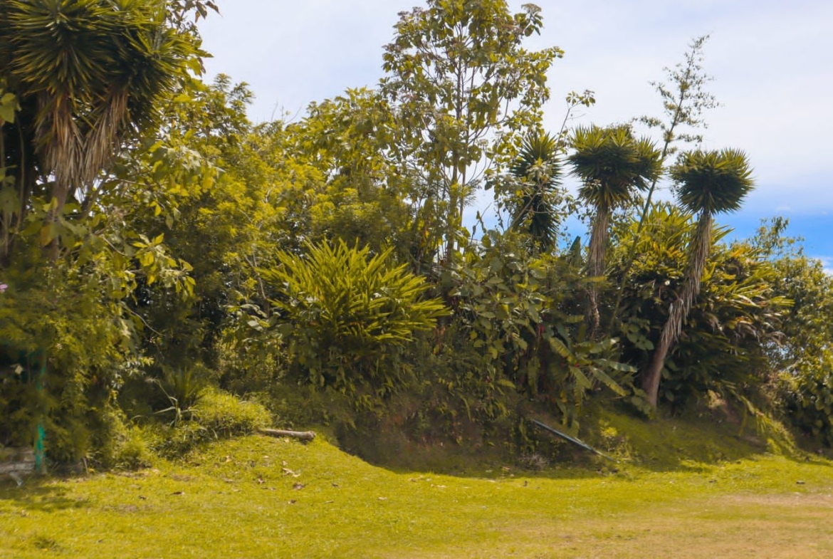 FINCA PARA LA VENTA EN ANSERMA