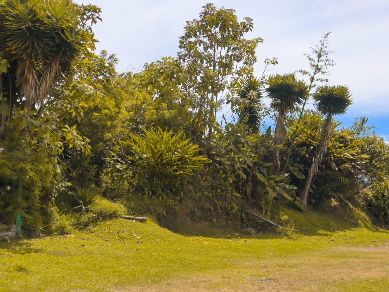 305071920230823035341 FINCA PARA LA VENTA EN ANSERMA
