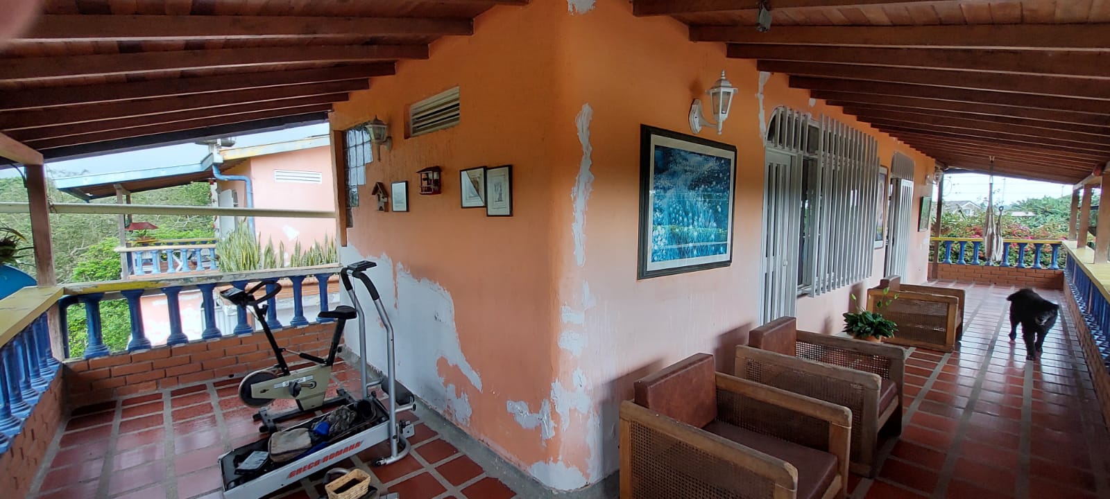 VENDO FINCA EN EL SECTOR DE MORELIA