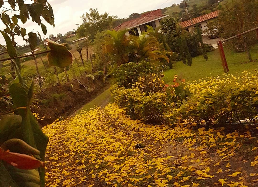 VENDO CASA CAMPESTRE VIA ARMENIA PEREIRA