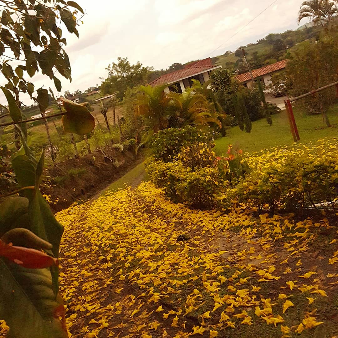 VENDO CASA CAMPESTRE VIA ARMENIA PEREIRA