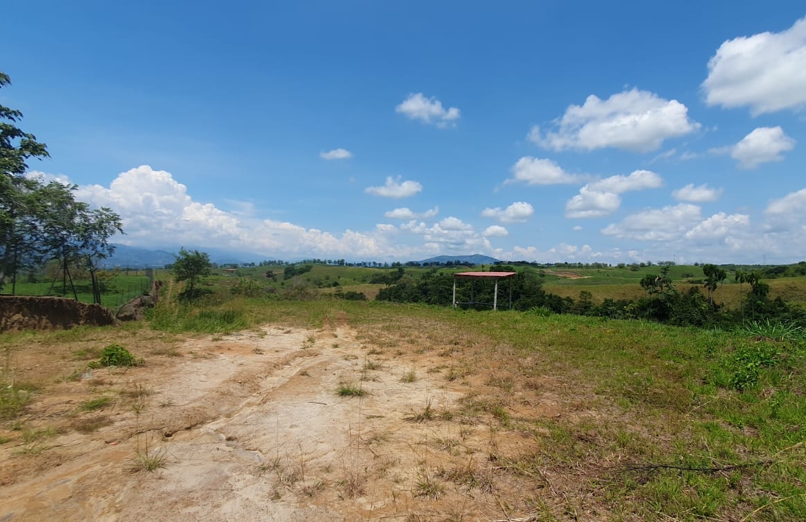 EN VENTA LOTE CERRITOS PEREIRA 11.027M2