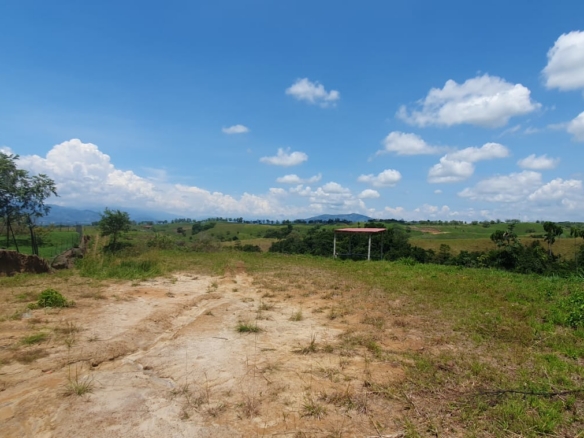 EN VENTA LOTE CERRITOS PEREIRA 11.027M2