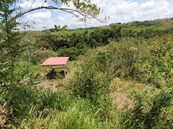 EN VENTA LOTE CERRITOS PEREIRA 11.052