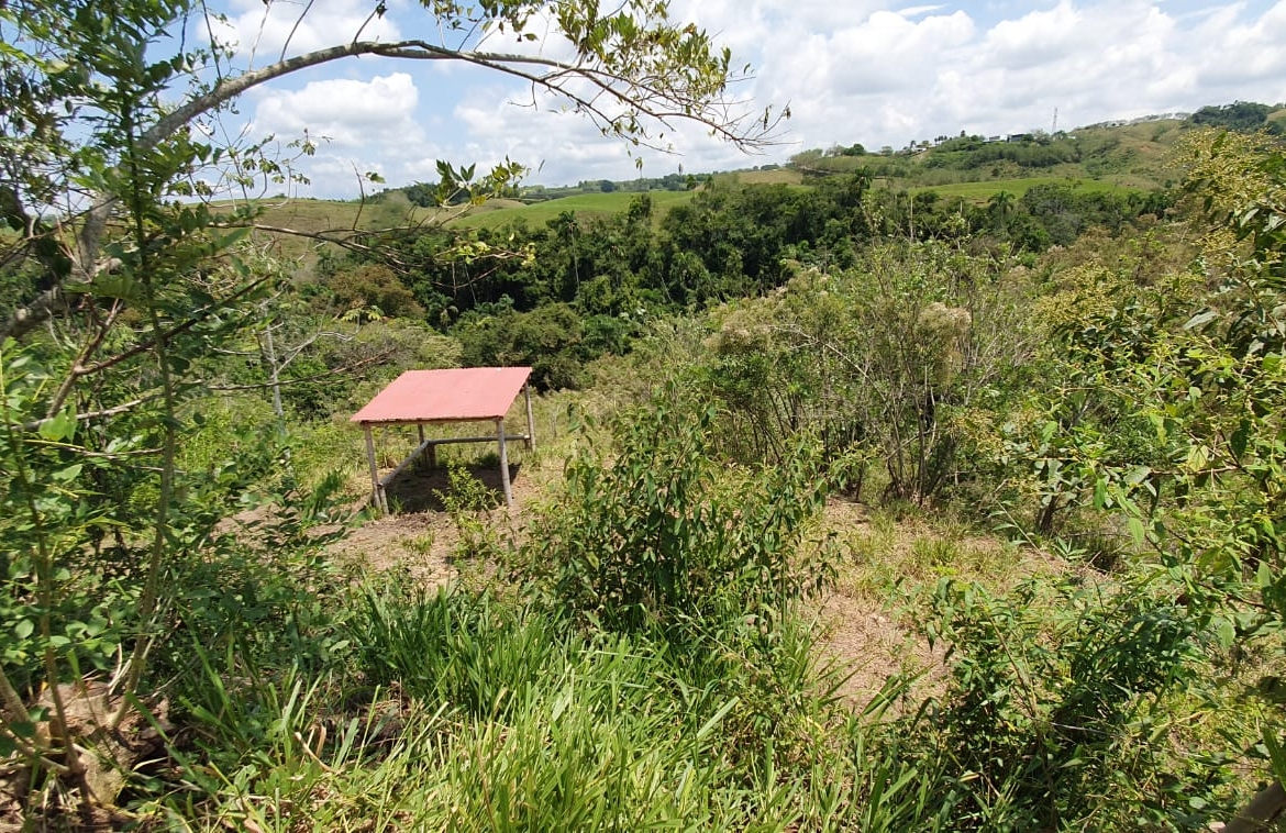 EN VENTA LOTE CERRITOS PEREIRA 11.052