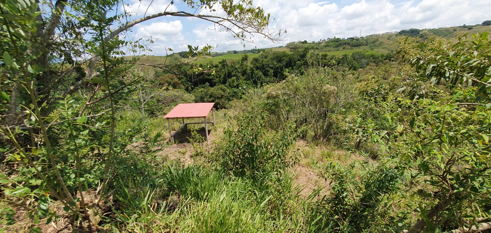 EN VENTA LOTE CERRITOS PEREIRA 11.052