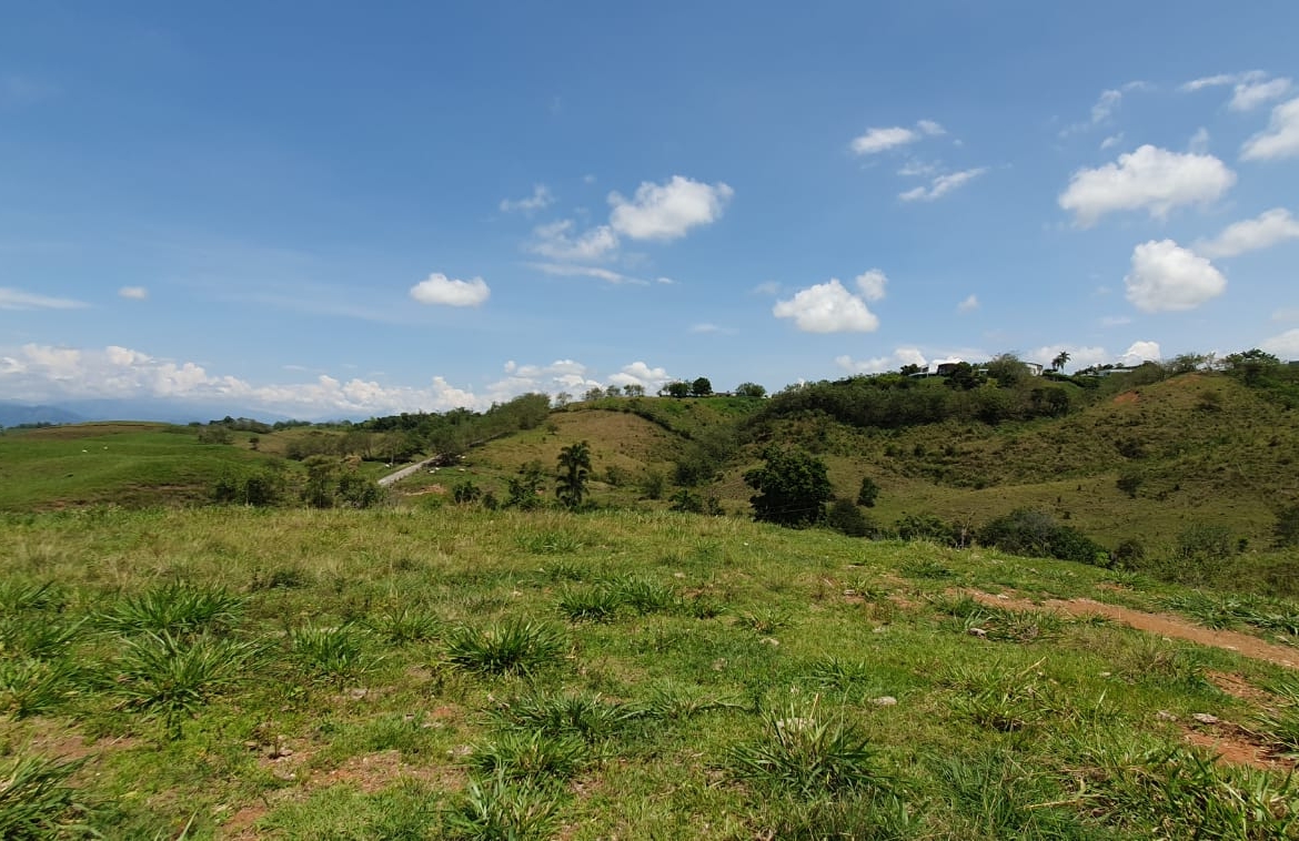 EN VENTA LOTE CERRITOS PEREIRA 11.517 M2