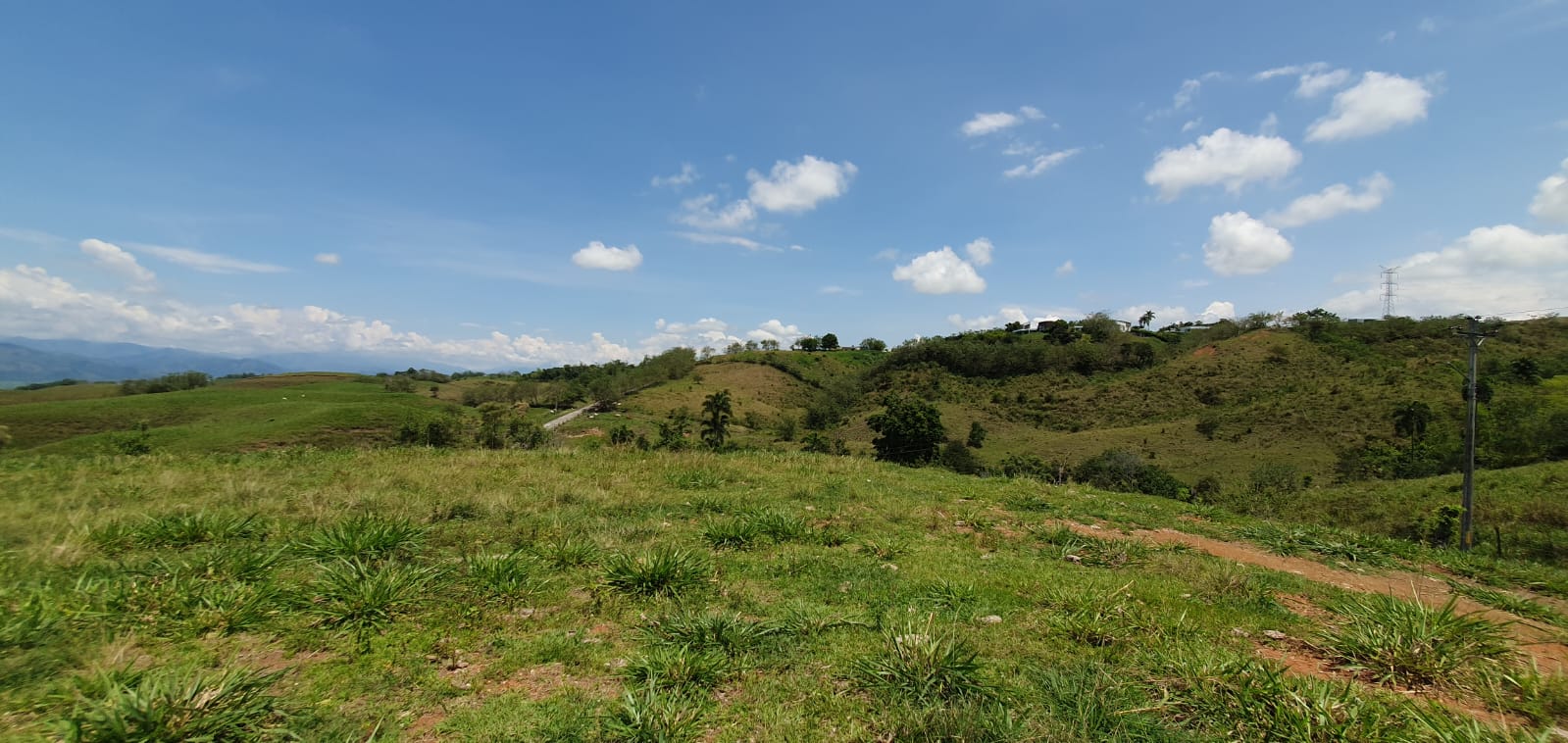 EN VENTA LOTE CERRITOS PEREIRA 11.517 M2