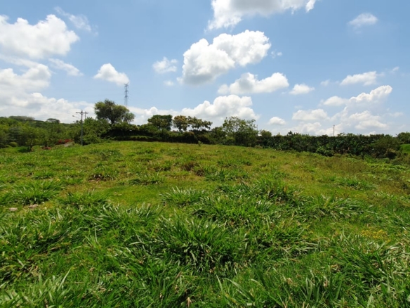 EN VENTA LOTE CERRITOS PEREIRA 10.022 M2