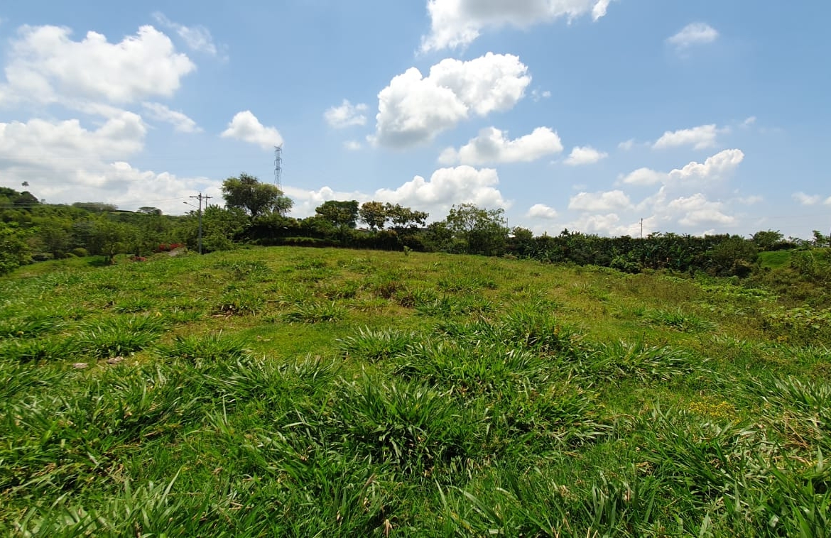 EN VENTA LOTE CERRITOS PEREIRA 10.022 M2