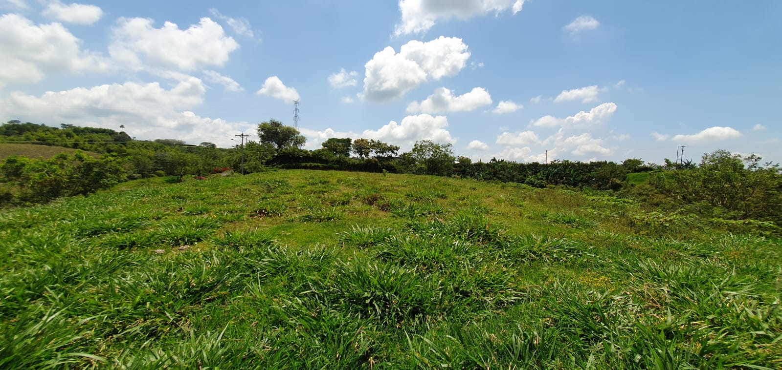 EN VENTA LOTE CERRITOS PEREIRA 10.022 M2