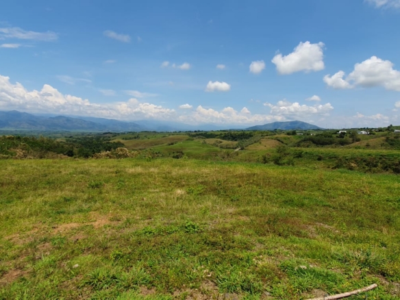 EN VENTA LOTE CERRITOS PEREIRA 11.403 M2