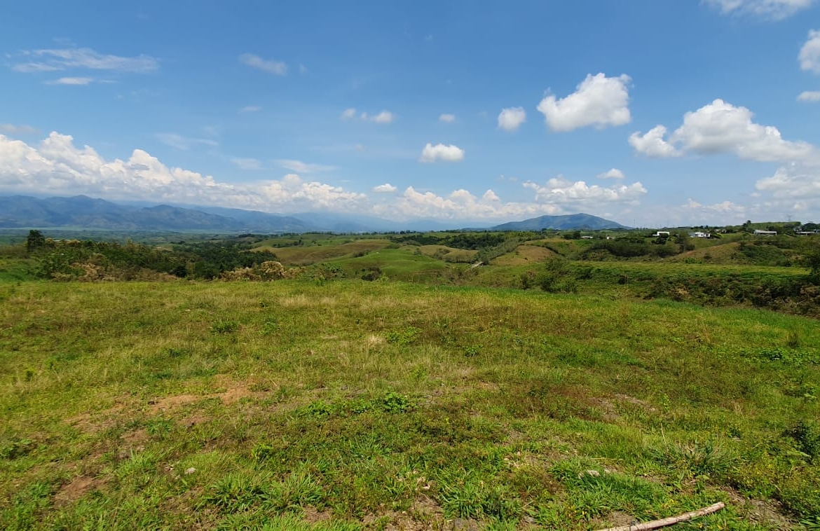 EN VENTA LOTE CERRITOS PEREIRA 11.403 M2