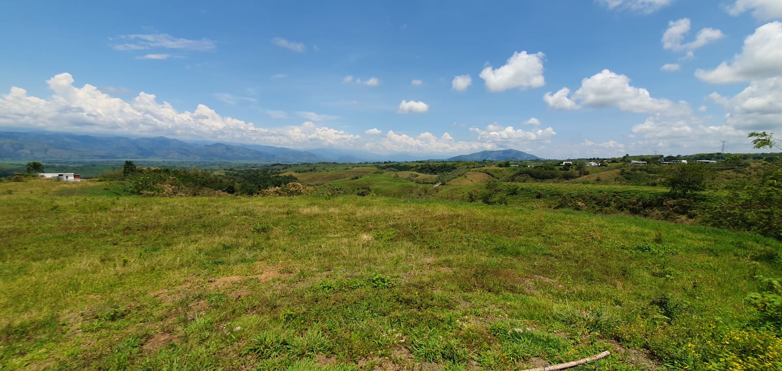 EN VENTA LOTE CERRITOS PEREIRA 11.403 M2