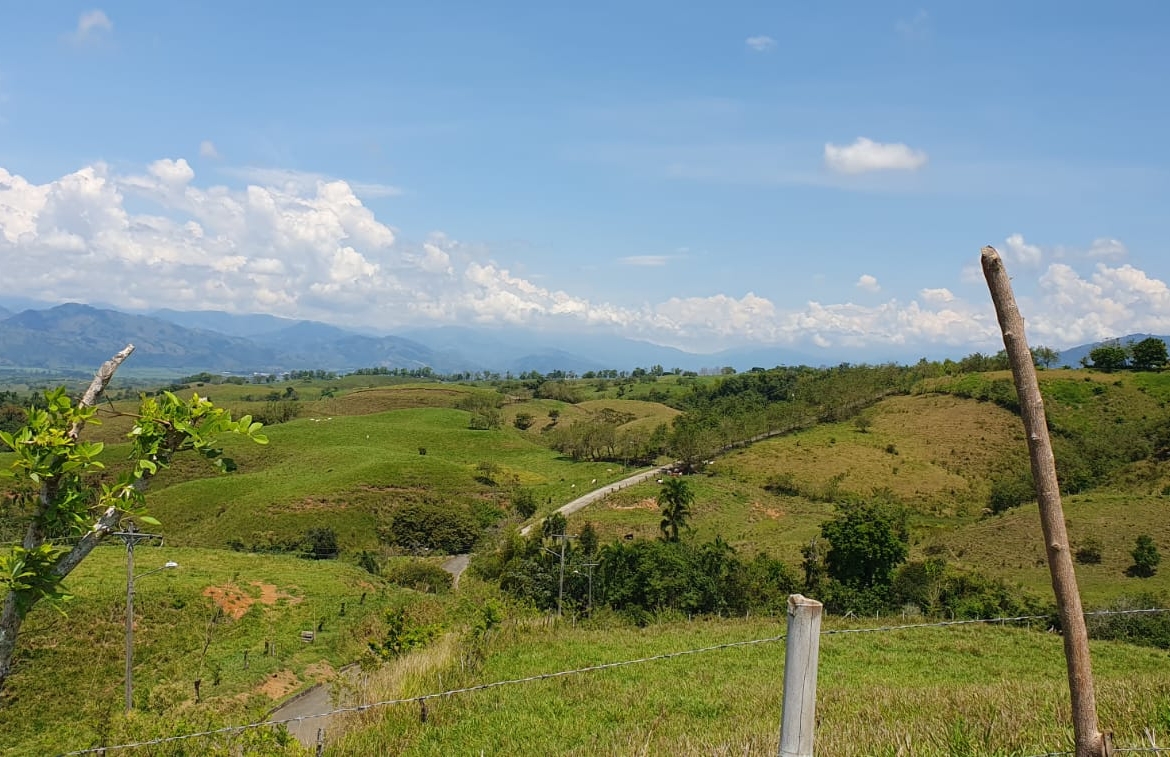 EN VENTA LOTE CERRITOS PEREIRA 13.500 M2