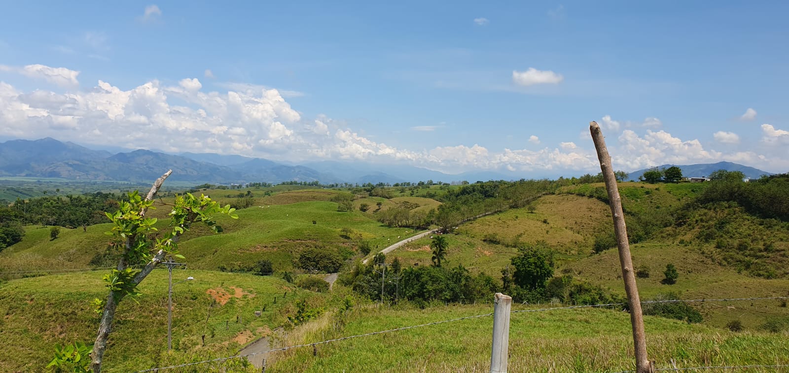 EN VENTA LOTE CERRITOS PEREIRA 13.500 M2