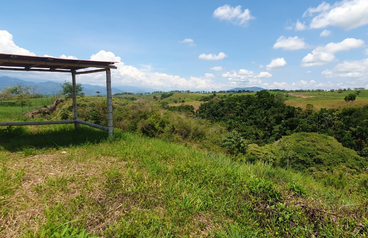 EN VENTA LOTE CERRITOS PEREIRA 10.055 M2