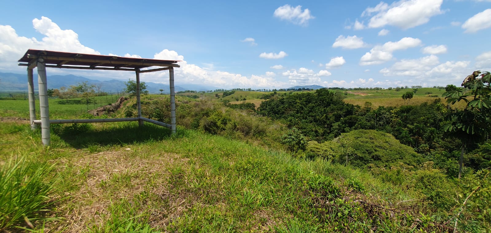 30507220250311120151 EN VENTA LOTE CERRITOS PEREIRA 10.055 M2