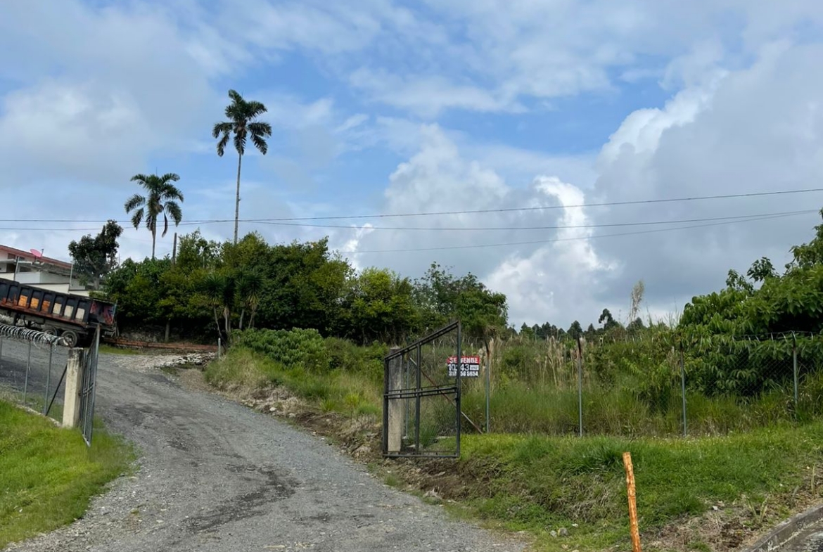 VENTA DE LOTE VÍA CONDINA