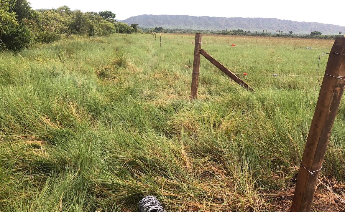 FINCA AGRO-GANADERA OPORTUNIDAD ÚNICA EN VILLANUEVA, CASANARE