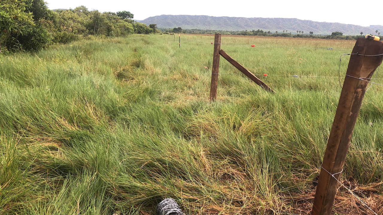 30507220260301041348 FINCA AGRO-GANADERA OPORTUNIDAD ÚNICA EN VILLANUEVA, CASANARE
