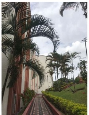 SE RENTA APARTAMENTO EN SAN MATEO