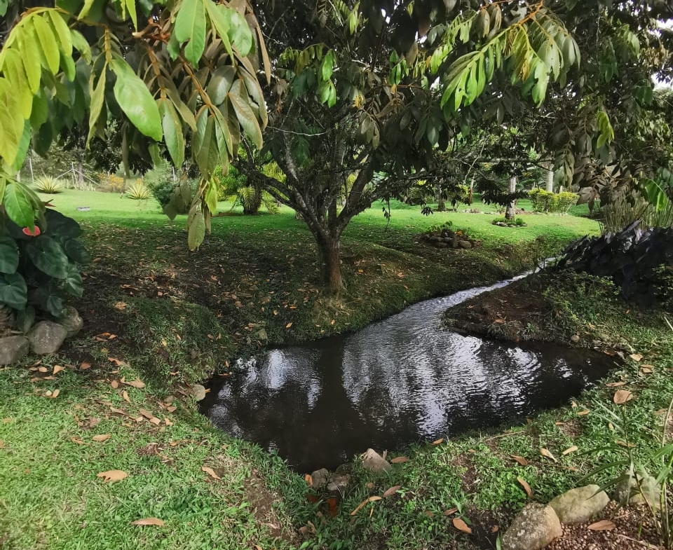 VENDO HERMOSA FINCA DE 10.000 M2 a 5 MIN DEL CRUCERO DE COMBIA