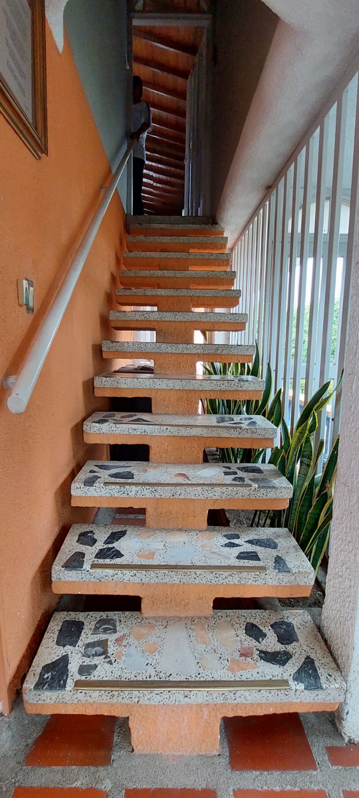 VENDO FINCA EN EL SECTOR DE MORELIA