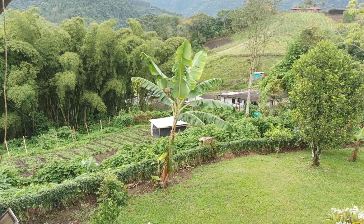 VENTA DE FINCA SECTOR LA FLORIDA