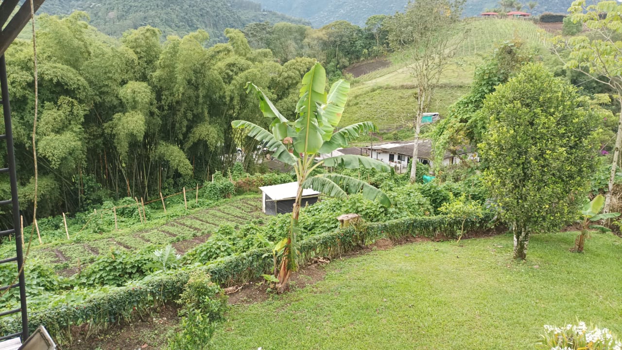 305072420230603114436 VENTA DE FINCA SECTOR LA FLORIDA
