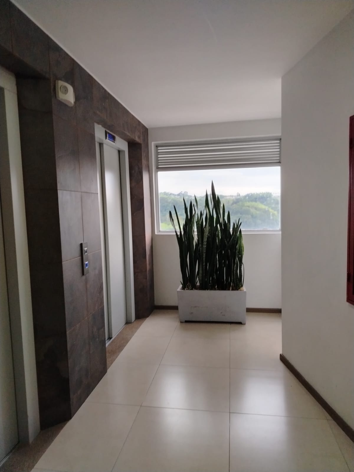 VENDO APARTAMENTO EN BARRIO ALAMOS PEREIRA