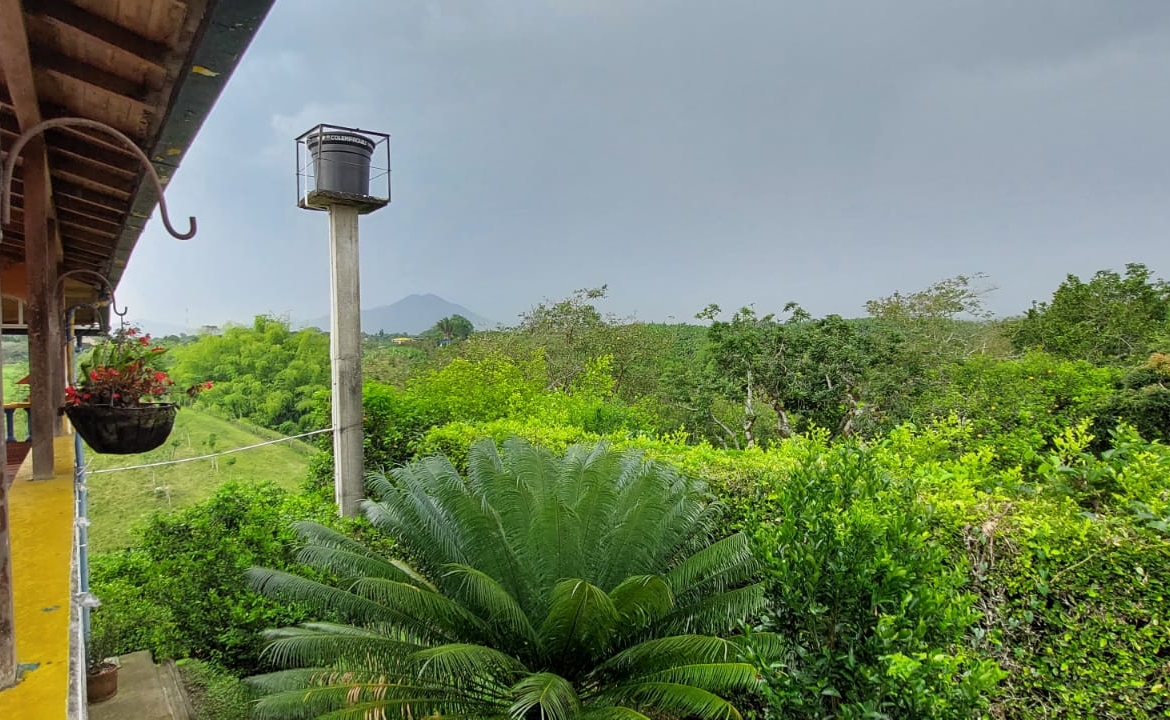 VENDO FINCA EN EL SECTOR DE MORELIA