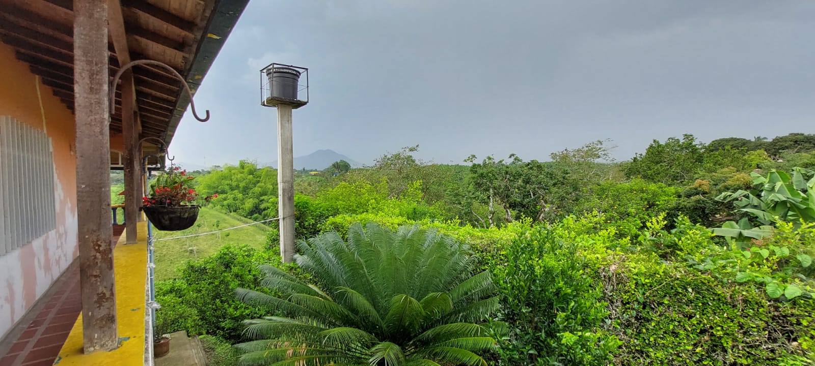 VENDO FINCA EN EL SECTOR DE MORELIA