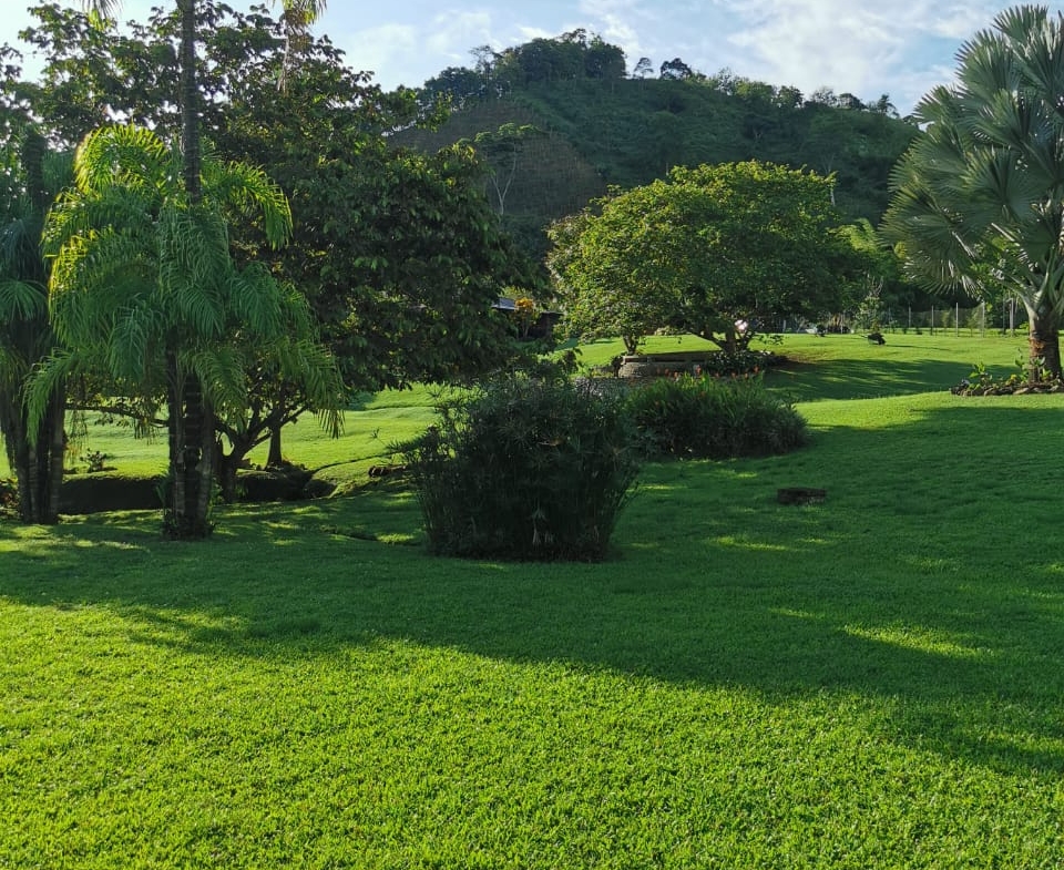 VENDO HERMOSA FINCA DE 10.000 M2 a 5 MIN DEL CRUCERO DE COMBIA
