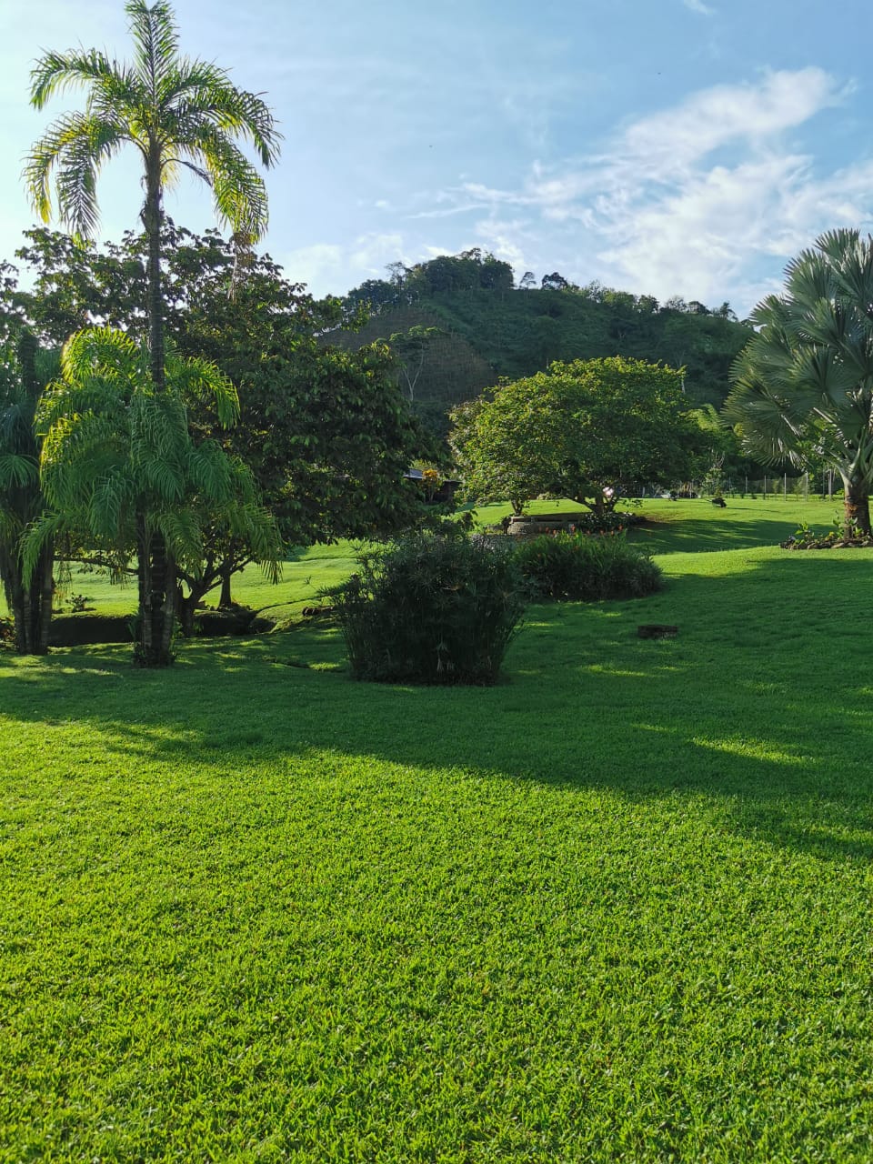 305072620221103045817 VENDO HERMOSA FINCA DE 10.000 M2 a 5 MIN DEL CRUCERO DE COMBIA