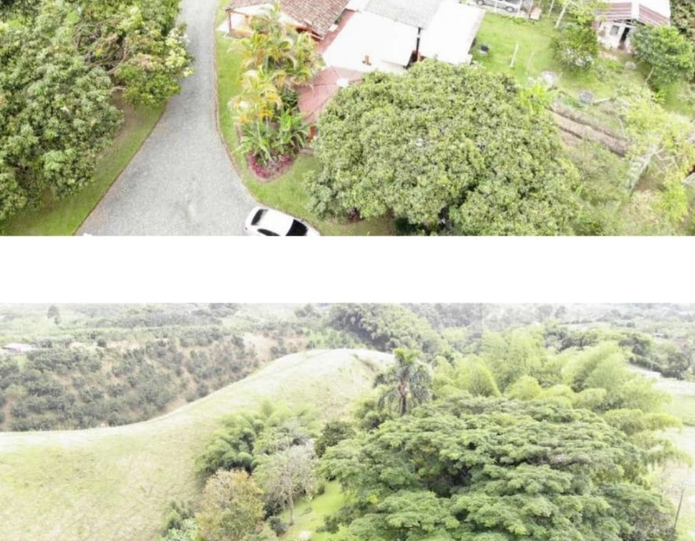 ALQUILER DE FINCA VEREDA EL CONGOLO VIA CONDINA PEREIRA