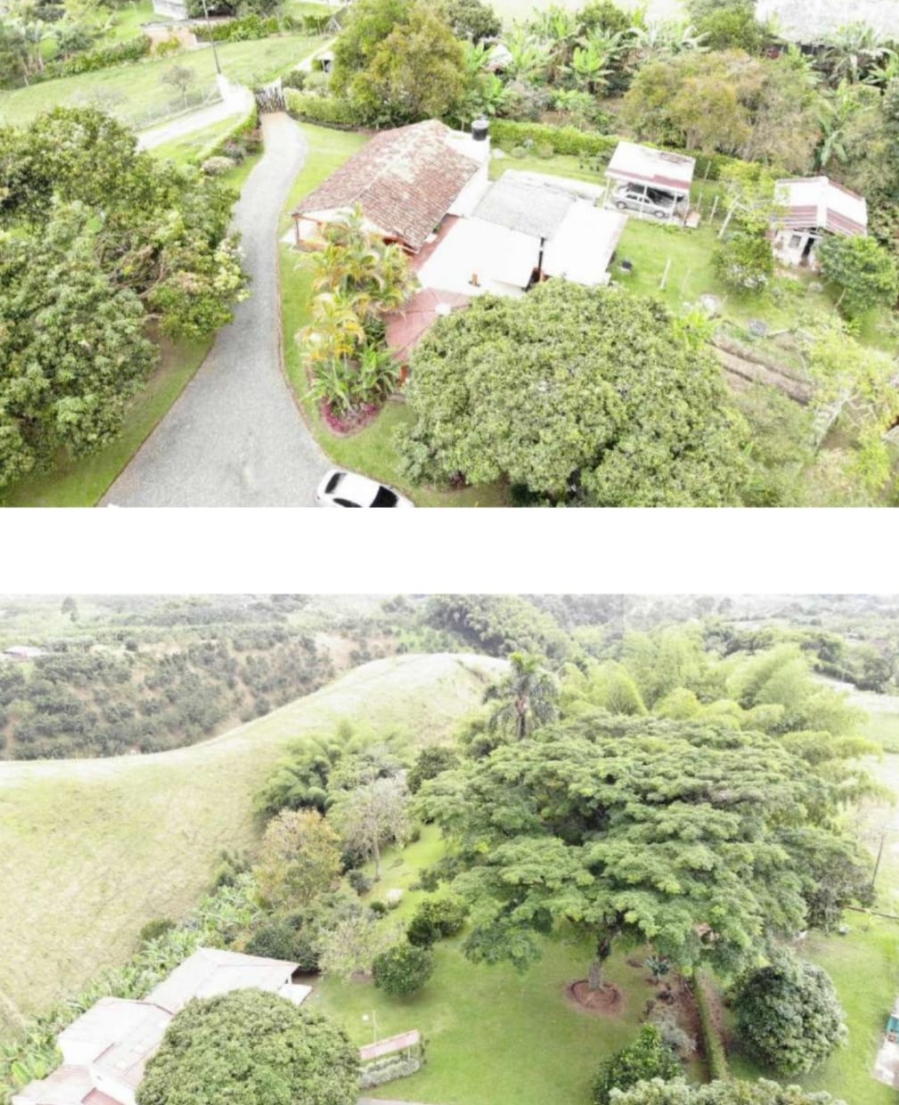 ALQUILER DE FINCA VEREDA EL CONGOLO VIA CONDINA PEREIRA