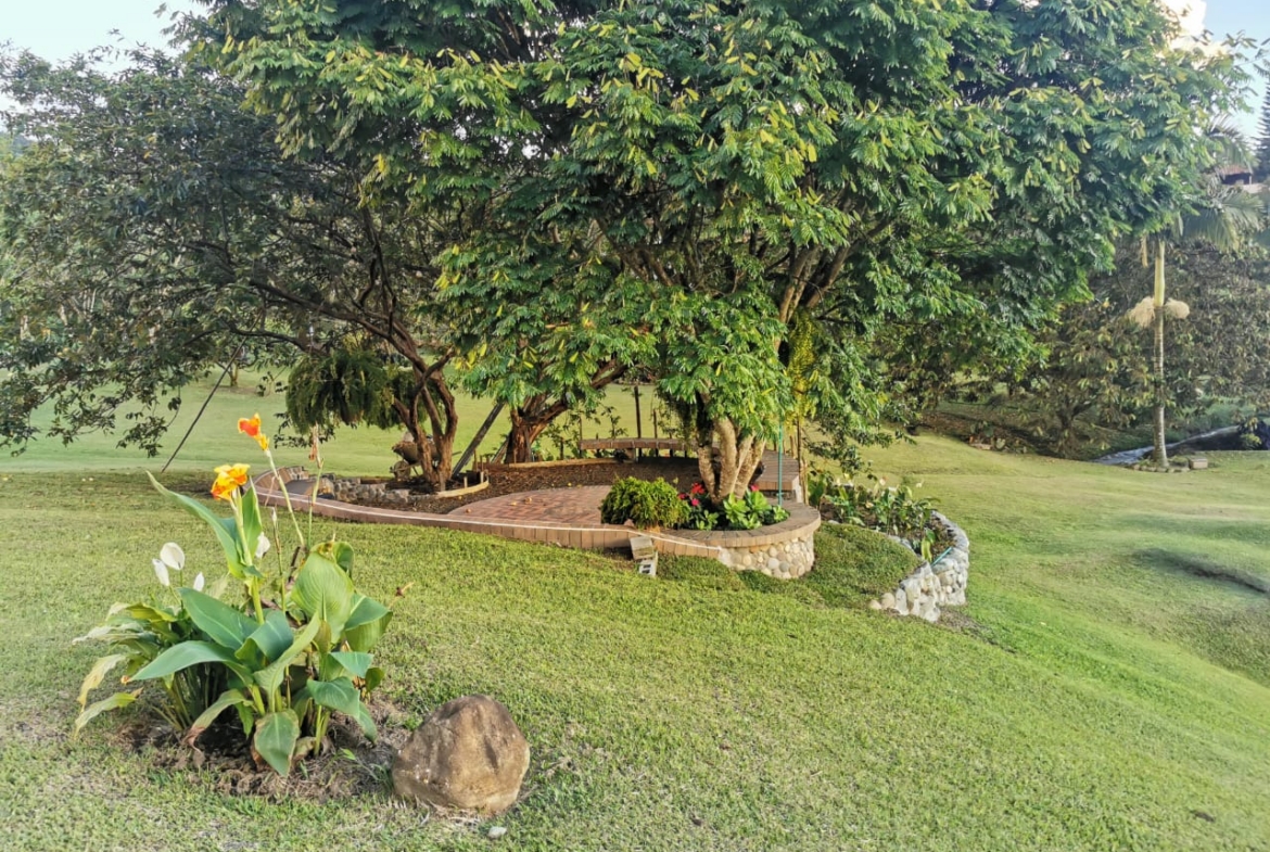 VENDO HERMOSA FINCA DE 10.000 M2 a 5 MIN DEL CRUCERO DE COMBIA