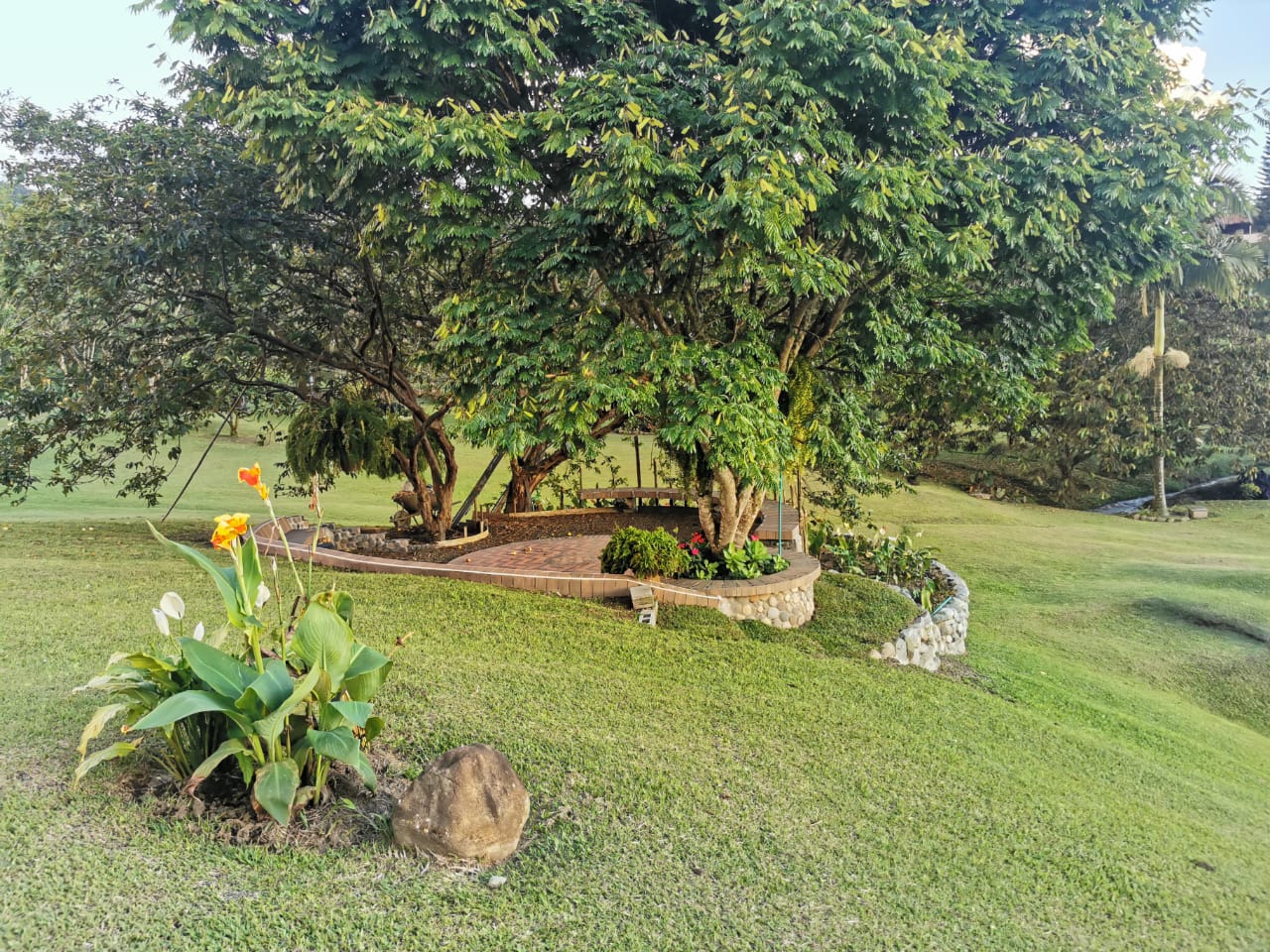305072720221103045817 VENDO HERMOSA FINCA DE 10.000 M2 a 5 MIN DEL CRUCERO DE COMBIA