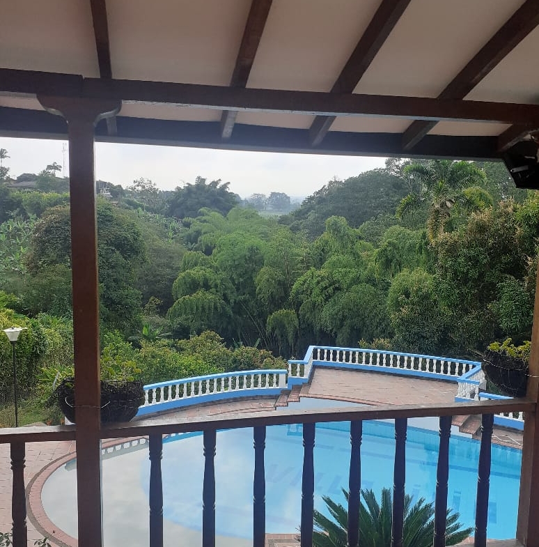 VENDO FINCA SECTOR MORELIA