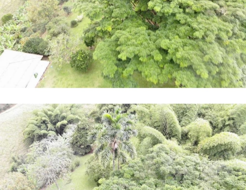 ALQUILER DE FINCA VEREDA EL CONGOLO VIA CONDINA PEREIRA