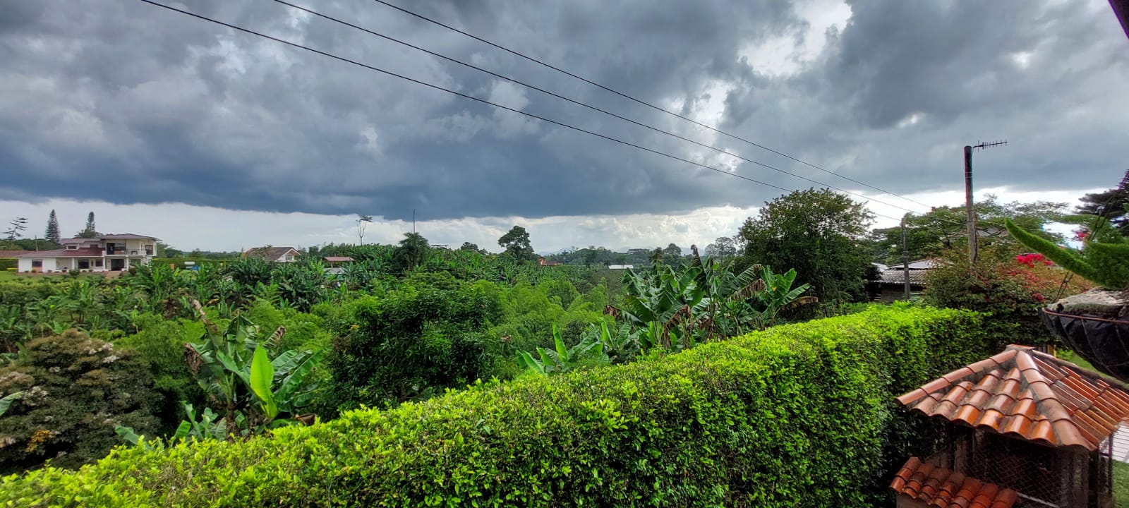VENDO FINCA EN EL SECTOR DE MORELIA