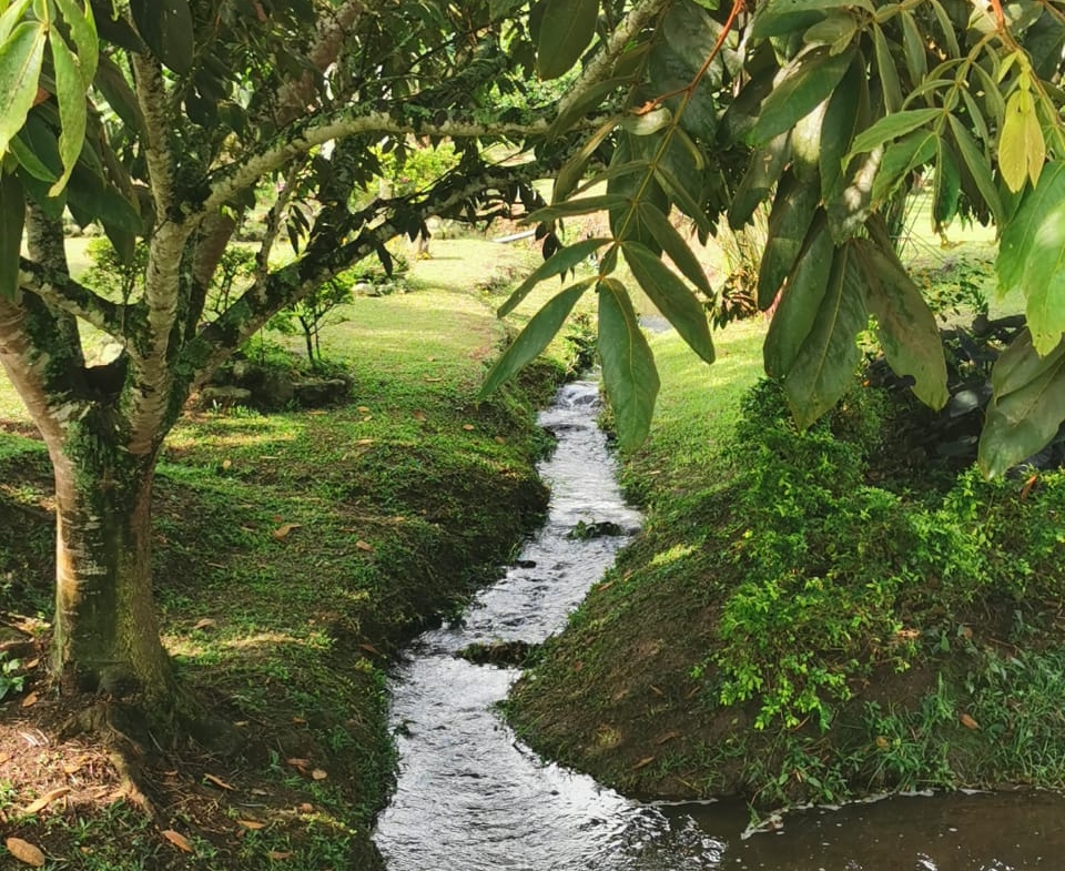 VENDO HERMOSA FINCA DE 10.000 M2 a 5 MIN DEL CRUCERO DE COMBIA