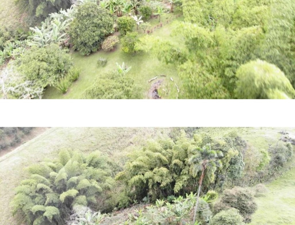 ALQUILER DE FINCA VEREDA EL CONGOLO VIA CONDINA PEREIRA