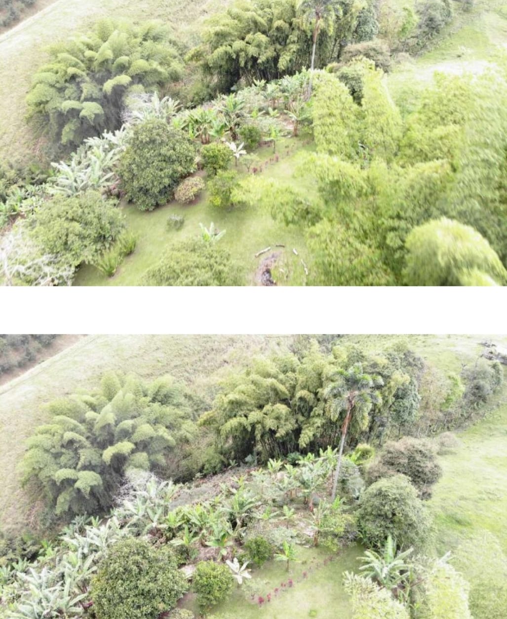 ALQUILER DE FINCA VEREDA EL CONGOLO VIA CONDINA PEREIRA