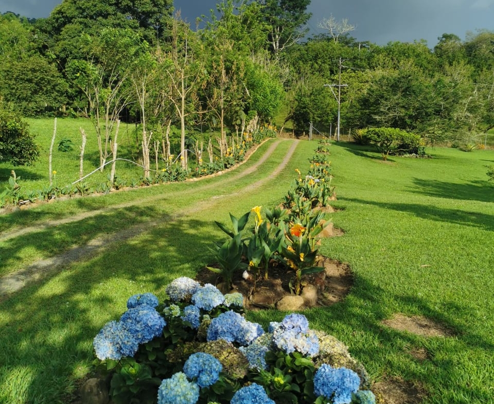VENDO HERMOSA FINCA DE 10.000 M2 a 5 MIN DEL CRUCERO DE COMBIA